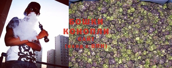 крисы Зеленодольск
