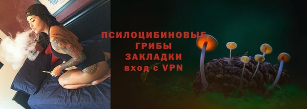 дурь Зеленокумск