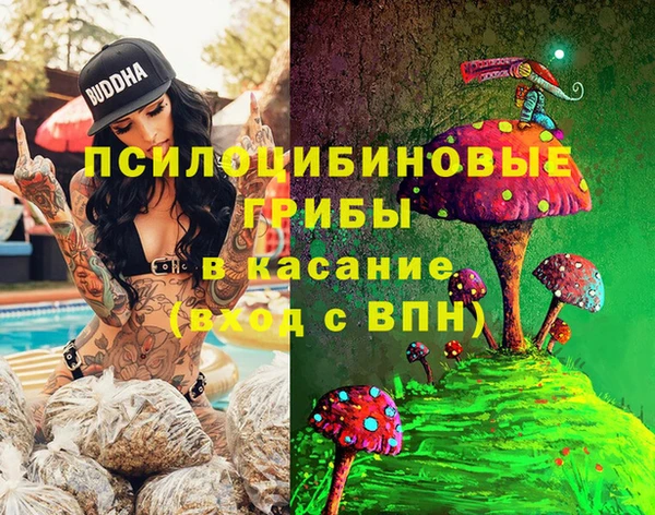 дурь Зеленокумск