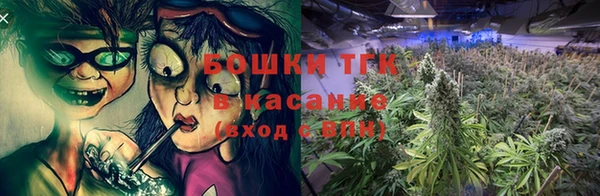 крисы Зеленодольск
