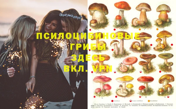 круглые Зерноград