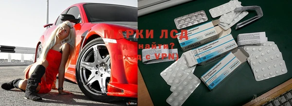 крисы Зеленодольск