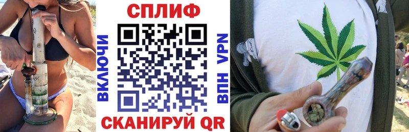 Купить  Егорьевск  Бошки марихуана Amnesia 